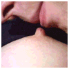 foto_1626.gif