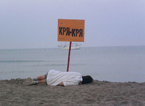 s010.jpg