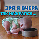 Алкаш.gif