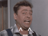 0_0.gif