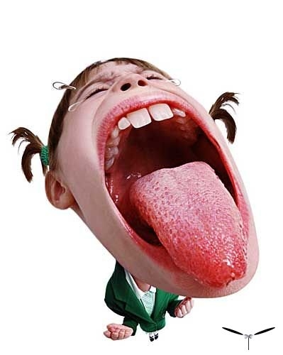 1201842560_7e50bc965e9f.jpg