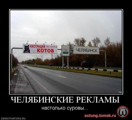 1241189332_130676.jpg