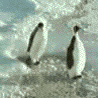 13530s.gif