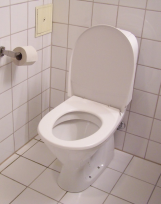 _toilet.png