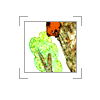 w_470.gif