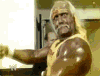 w_527.gif