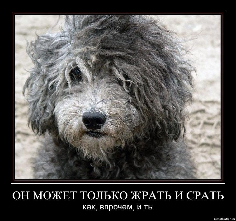 1243663777_i7huq4esvwgs.jpg