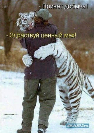 1244032559_s3img_8916115_1670_1.jpg
