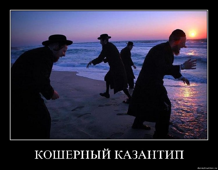 20090609_29gx9vqsmfek.jpg