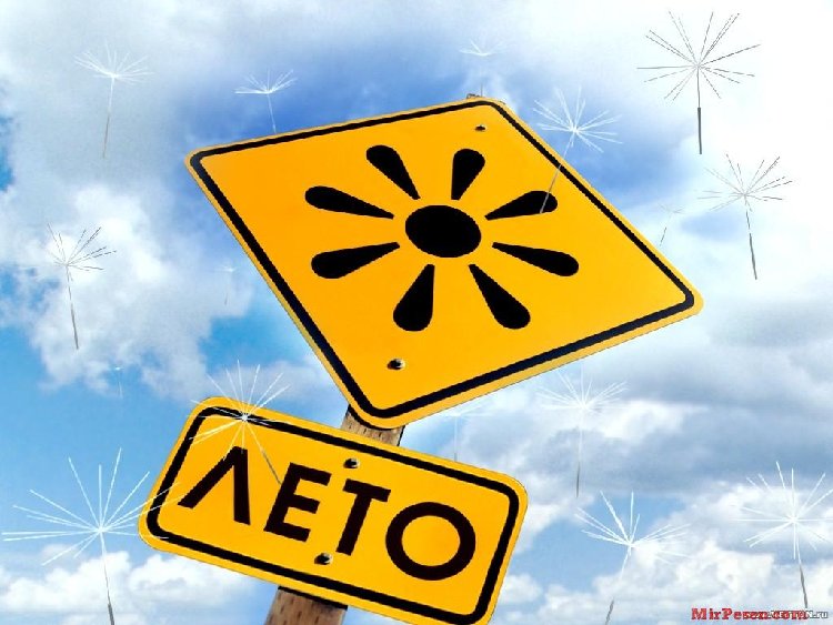 vesjolye-rebjata-3-big-wallpaper.jpg