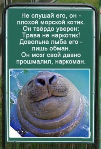 x_6c27a3dd.jpg