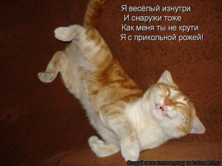1246019331_s3img_59490778_1092_9.jpg