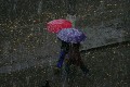 045081_506.jpg