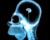 5.gif