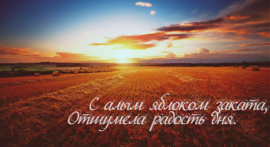 48e32fd7c49d5f304af8f6b8ded47762.png