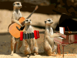 animals_03.gif