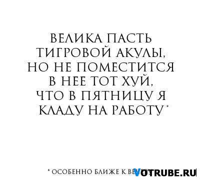 1253937104_11.jpg