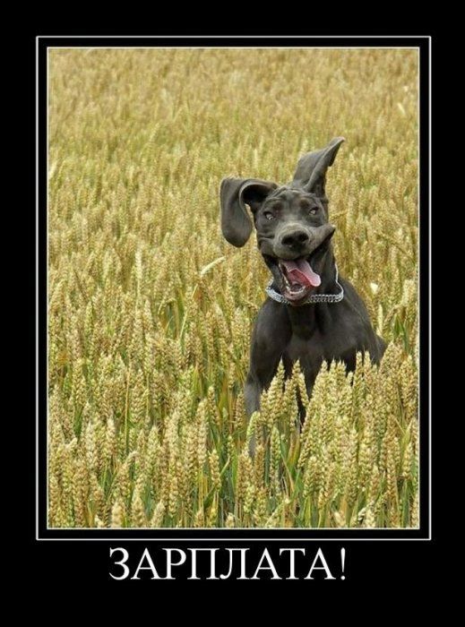 demotivators_88.jpg