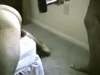 по яйцам.gif