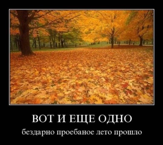 x_da2b1394.jpg