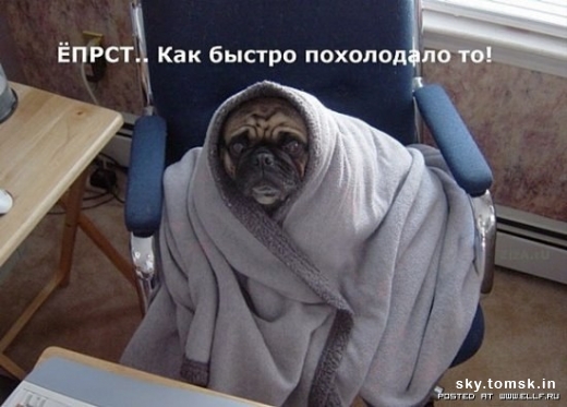 1256980169_1190328008_nadpisi_01.jpg
