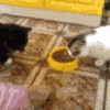 984.gif