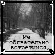 w_379.gif