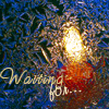 005.gif