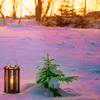 003.gif