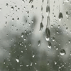 062.gif