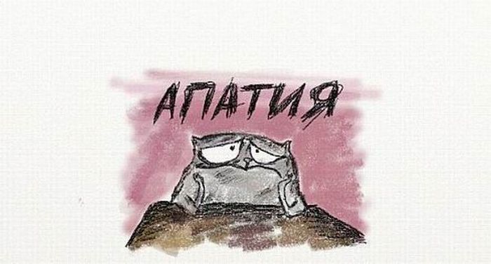 cats_01.jpg