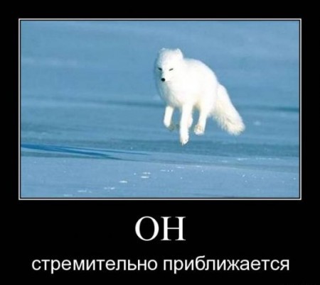 1243506733_15111.jpg