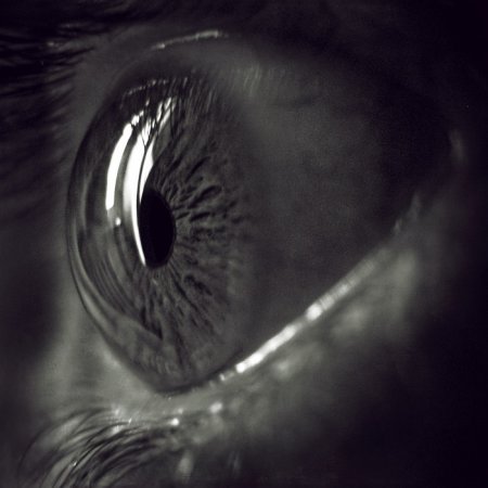 1216289182_63.jpg