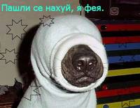 пв.jpg