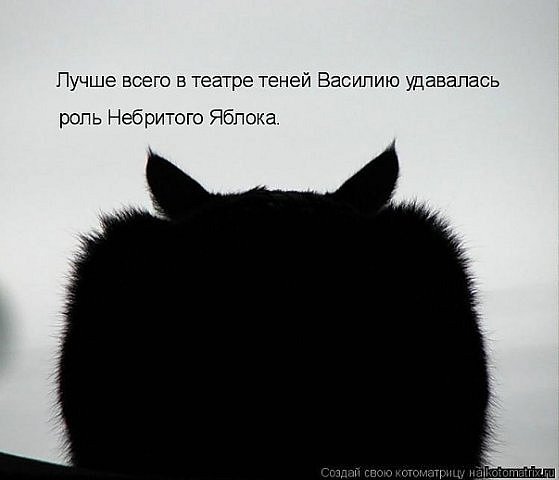 x_d9a7bc41.jpg