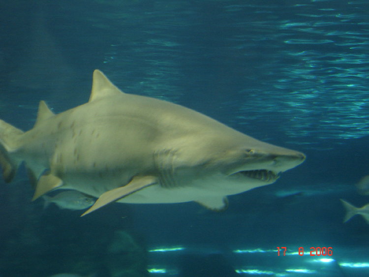 DSC0851500.jpg