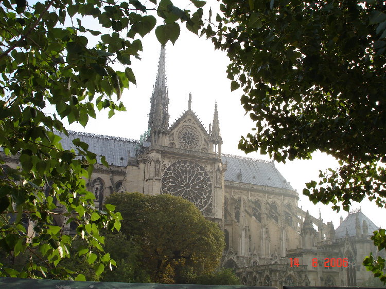 DSC0816700.jpg