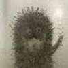 1 (103).gif