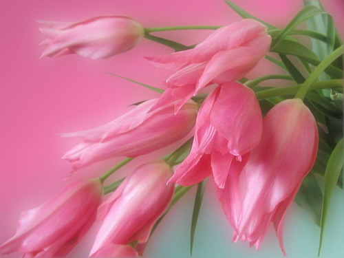 img-8aedc_resize.jpg