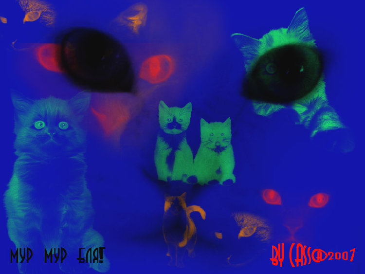 Untitled-1.jpg