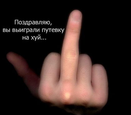 14546931_176277_1212.jpg
