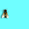 avatar_0202.gif