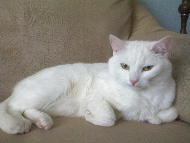 DSC00182.JPG