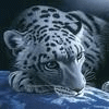 w_577.gif