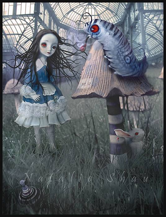 Alice.jpg