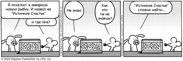 13579096.gif