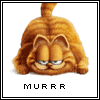 81631685945ebddbddae2e.gif