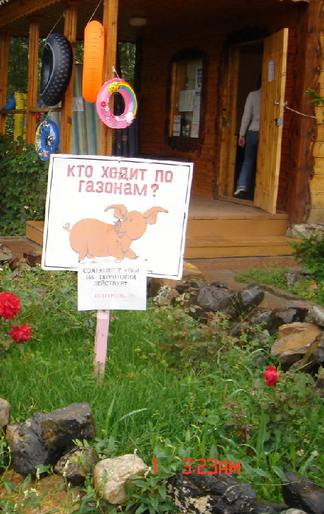 DSC00419.jpg