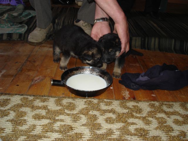 DSC09612.JPG