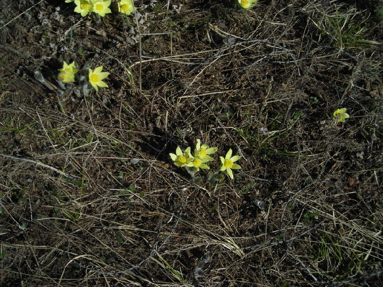 DSCN1007.JPG